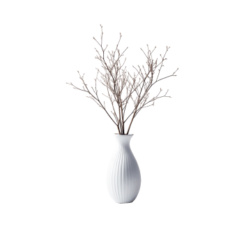 Desk Plant 02